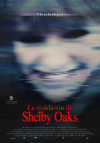 Cartel de la pel&iacute;cula "La maldici�n de Shelby Oaks;quot;
